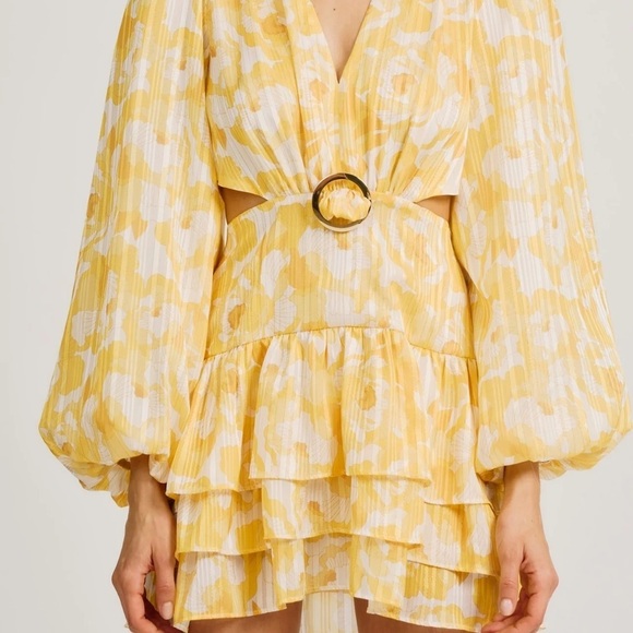 $278 Torn By Ronny Kobo Cassie Dress - Picture 4 of 8